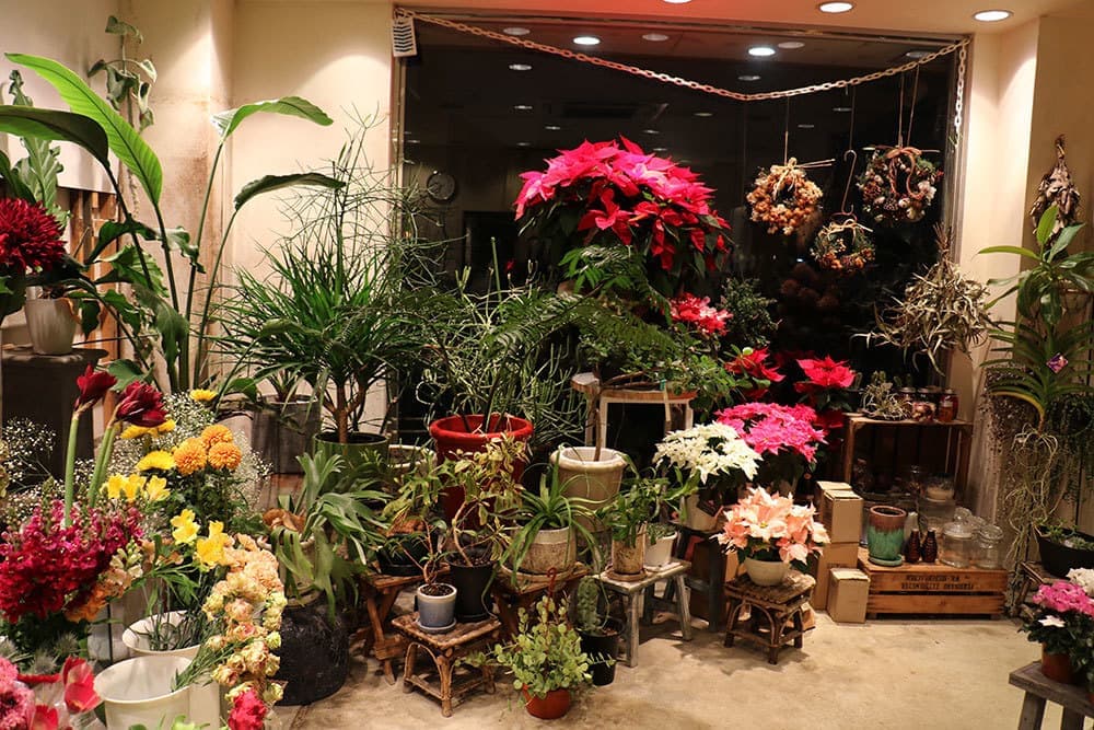 富士市のお花屋さんローズヒップのクリスマスの店内のお花のイメージ画像