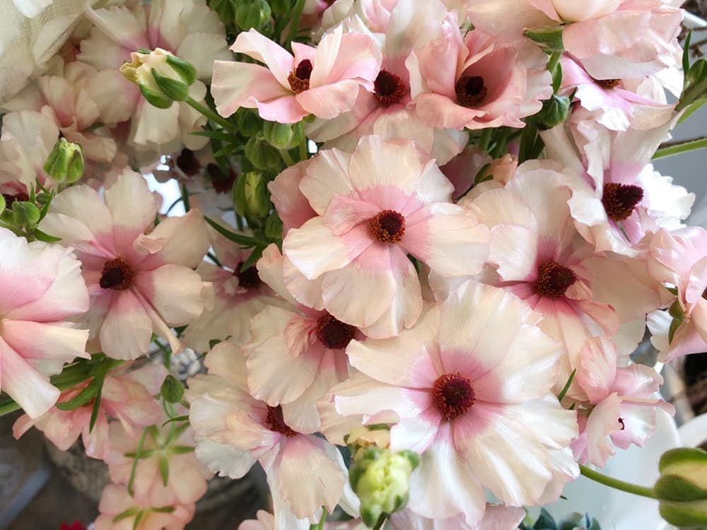 富士市花屋ローズヒップの2020年の母の日のお花のプレゼントのイメージ画像６