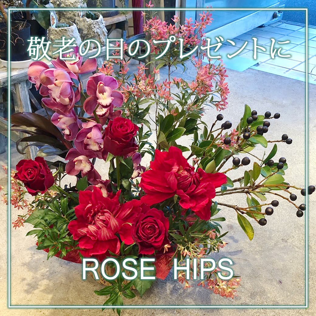 富士市花屋ローズヒップの敬老の日のプレゼント特集