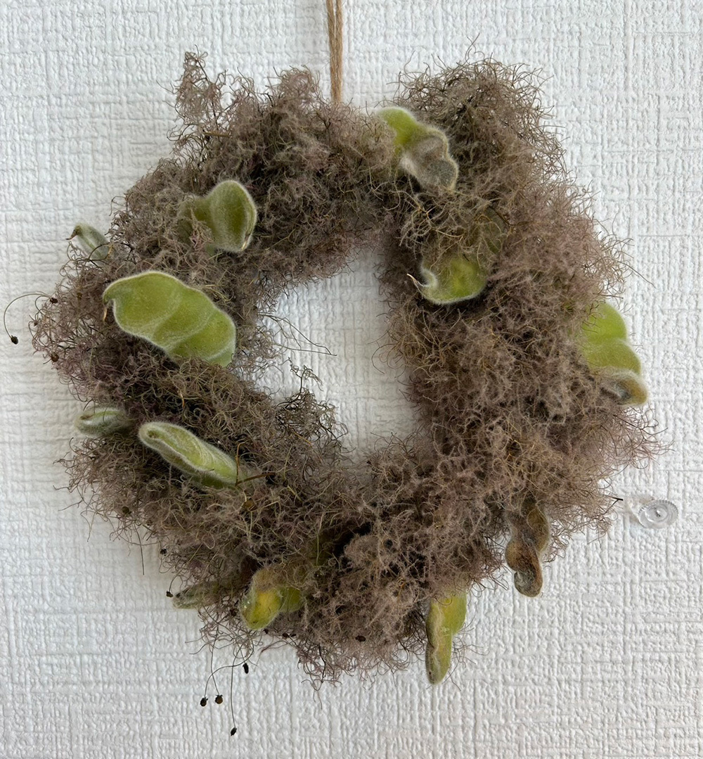 富士市おしゃれ花屋ローズヒップのリースの写真（フラワーレッスンのリース作り）